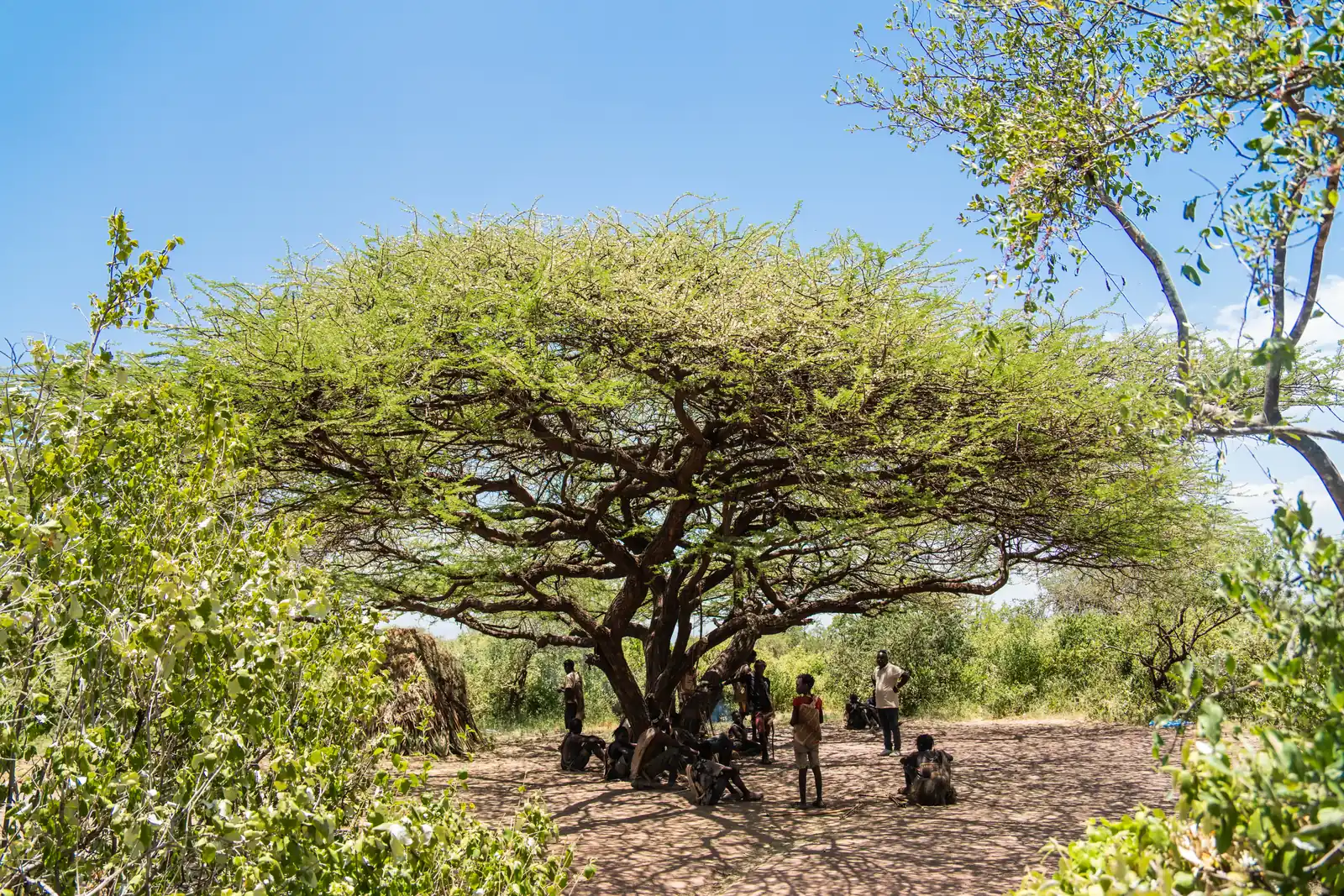 Tanzania Culture