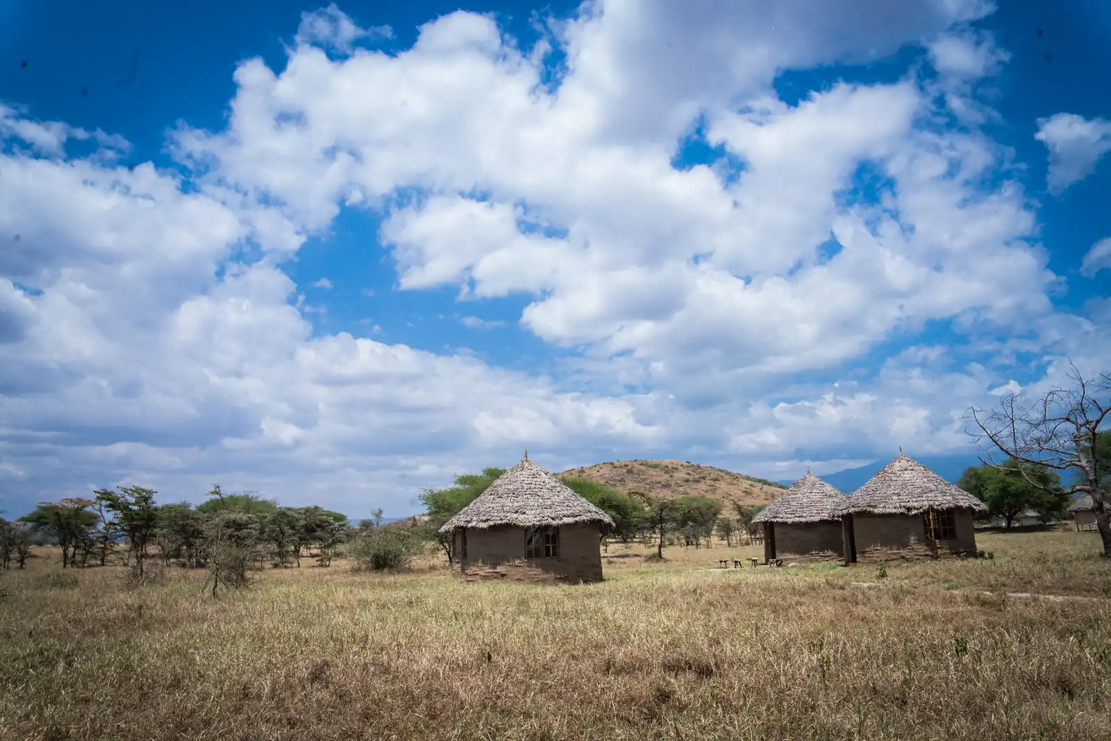 Local Settlements