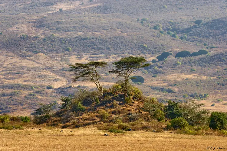 The Ngorongoro Crater