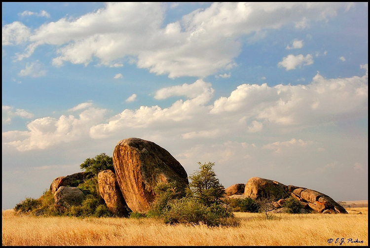 Tanzania's Wildscapes