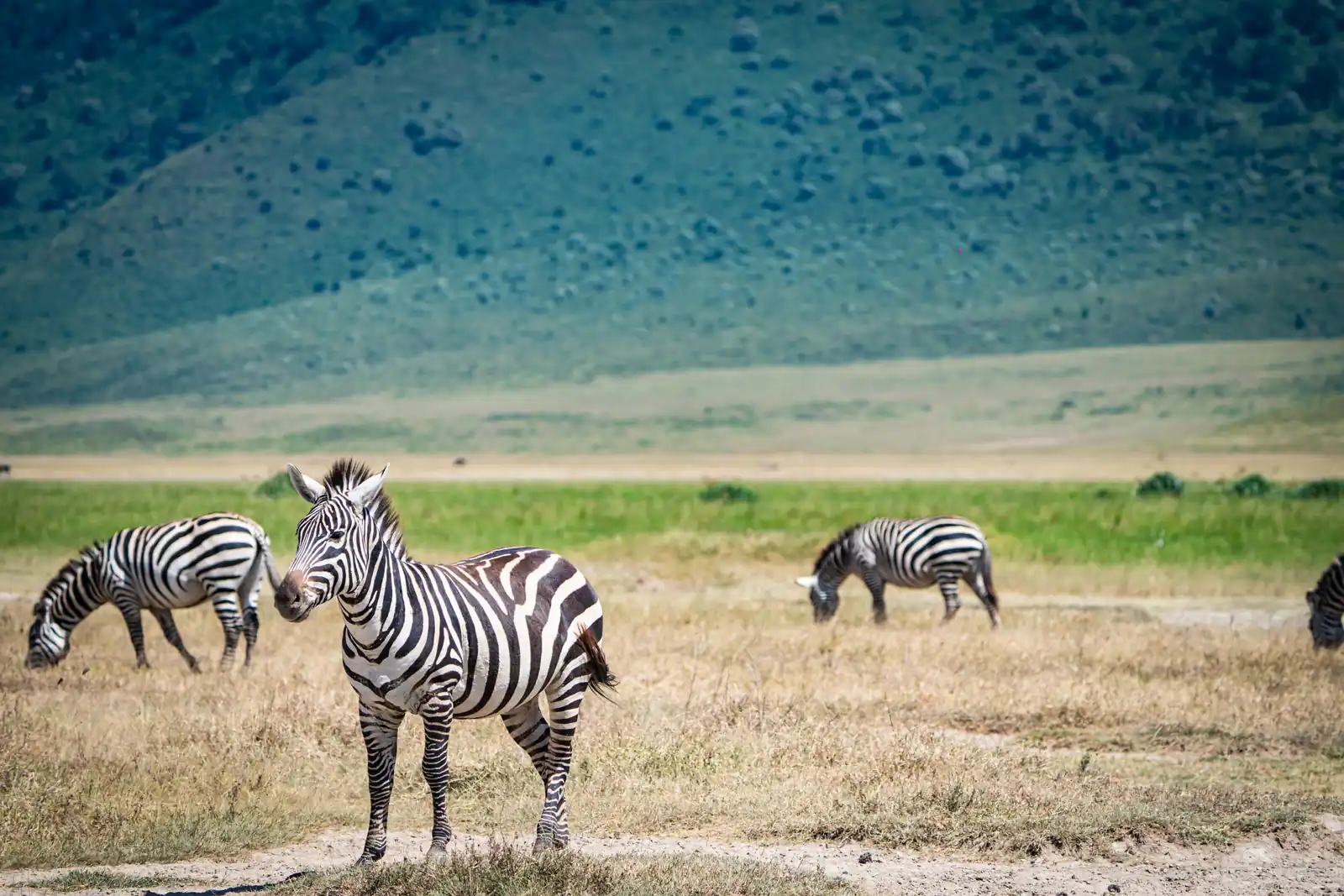 EXPERIENCE TANZANIA LIKE NEVER BEFORE