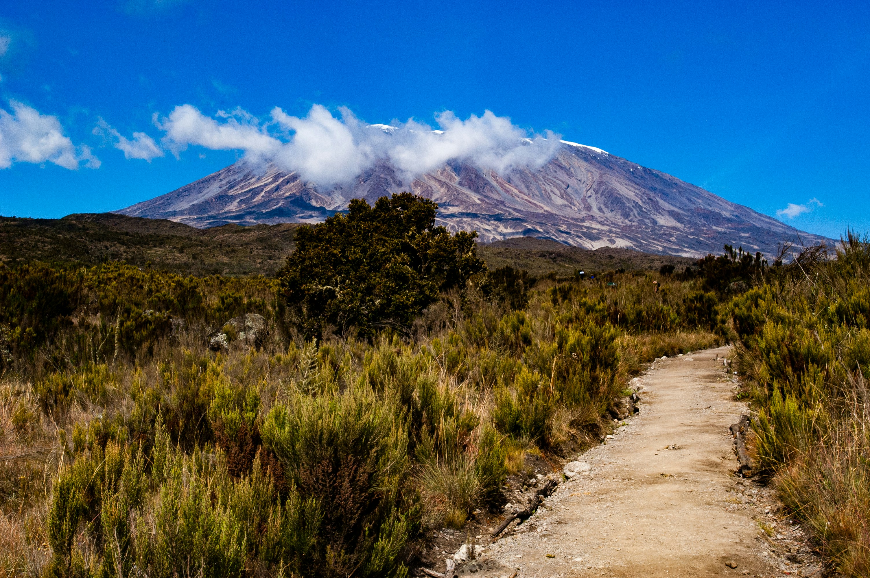 6 Days Umbwe Route (Mt. Kilimanjaro)