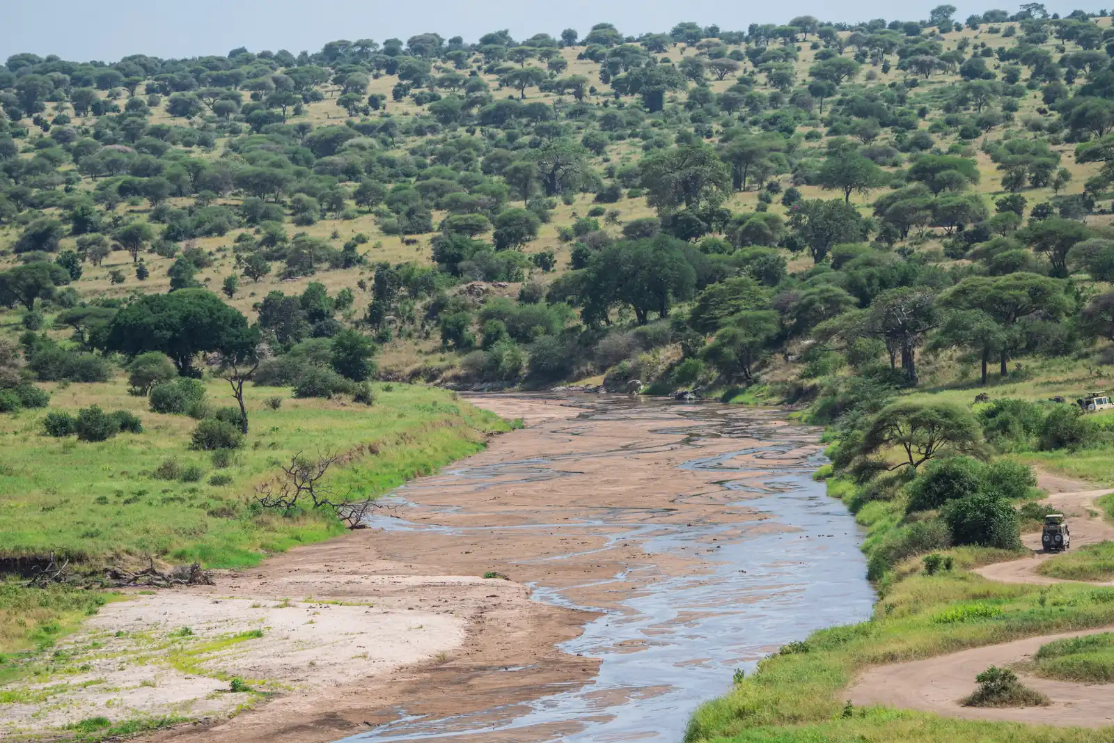 3 days in Serengeti and Ngorongoro Crater