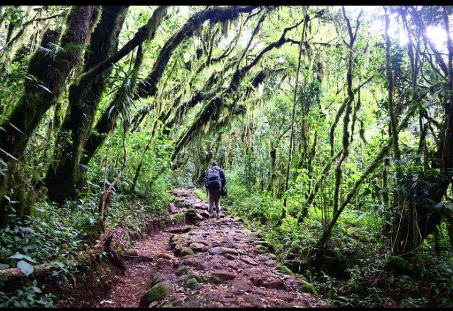 6 Days Marangu Route (Mt. Kilimanjaro)