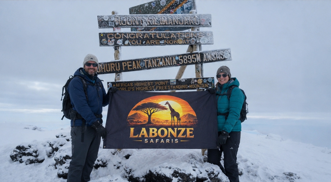 8 Days Northern Circuit Route (Mt. Kilimanjaro)