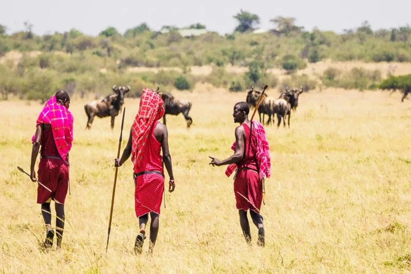2 DAYS VILLAGE TOUR AND LAKE MANYARA NATIONAL PARK SAFARI