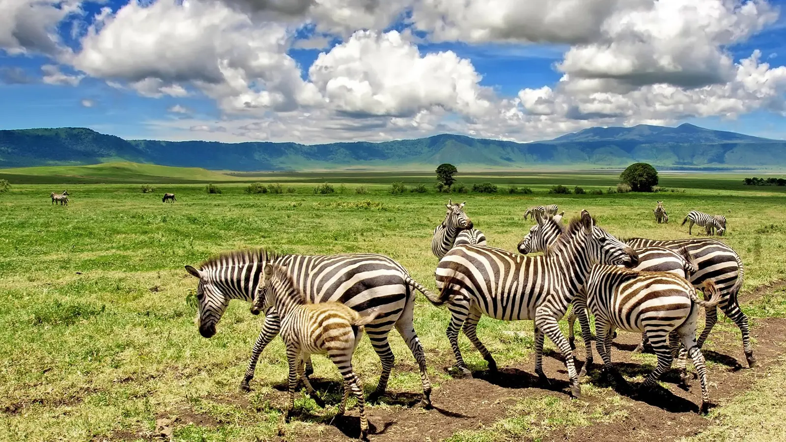 5 DAYS TARANGIRE, NGORONGORO AND VILLAGE TOUR