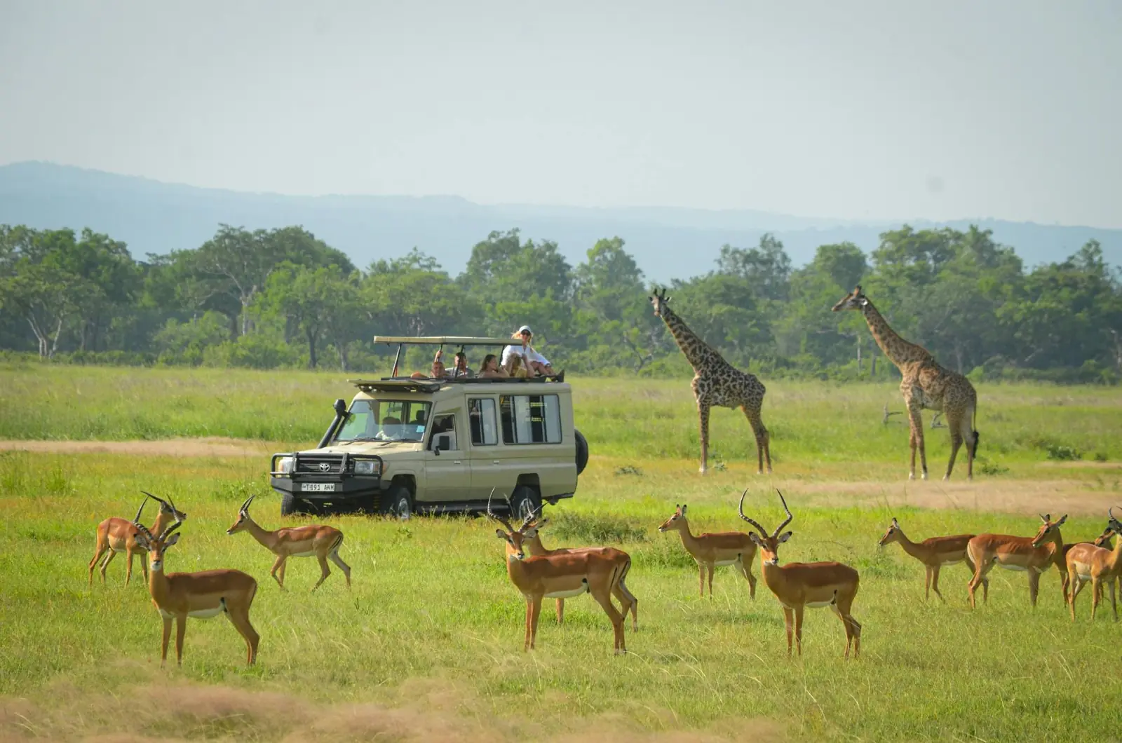  3 Days Mikumi Adventures safari package